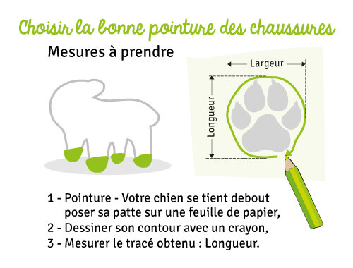 Guide des tailles Chaussures Walker Active en nylon de protection