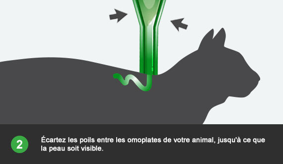 Mode d'emploi FRONTLINE Combo pour chat