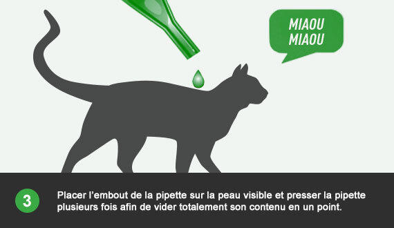 Mode d'emploi FRONTLINE Combo pour chat