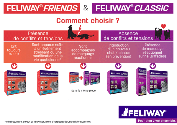 Mode d'emploi Feliway Friends