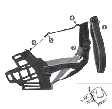 Mode d'emploi Muselière Muzzle Flex
