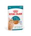 ROYAL CANIN Ageing 11+ bouchées en gelée pour chat senior