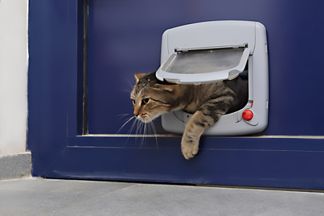 Installer une chatière sur une porte, bois, PVC, verre…