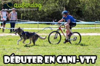 Cani-VTT : faire du vélo avec son chien ?