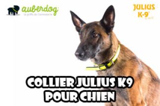 Collier Julius K9, résistant !