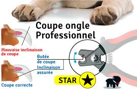 Coupe ongle pour chien, lequel choisir ?
