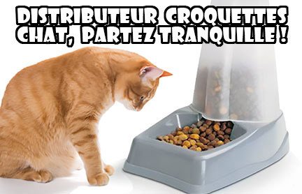 Distributeur croquette chat automatique ou manuel !
