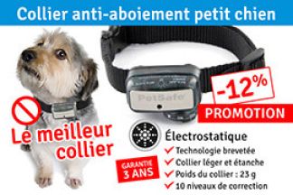 Collier anti aboiement petit chien : pour quel poids ?