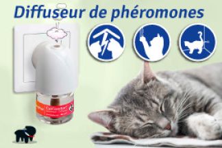 Qu'entend-t-on par phéromone chat ? comment l'utiliser ! 