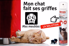 Chat qui griffe le canapé : répulsif chat canapé