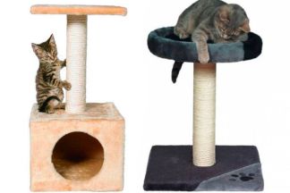 Petit arbre à chat et arbre à chat pas cher 