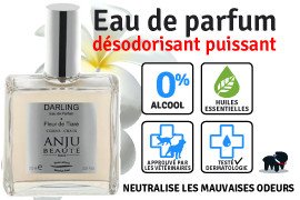 Parfum pour chien : quel produit choisir ?