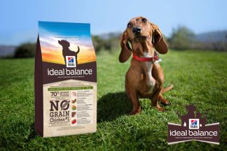 Croquette chien sans céréales : la meilleure marque est...