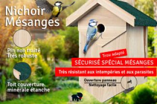 Nichoir mésange : préparation et installation du nid