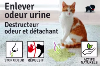 Comment enlever l'odeur d'urine de chat ? test produit !