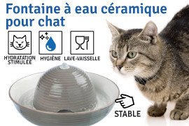 Fontaine à eau chat céramique, que des avantages !