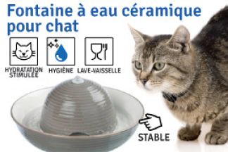 Fontaine à eau chat céramique, que des avantages !