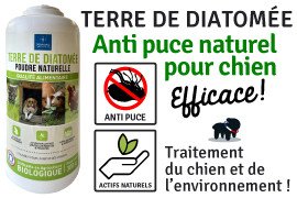 Terre de Diatomée pour chien, Conseil d'utilisation !
