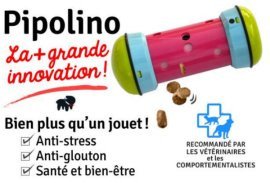 Pipolino chat : Conseil d'utilisation !