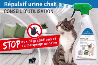 Répulsif pour urine chat : conseil d'utilisation !