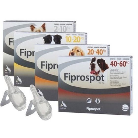 F_1ME05643.jpg