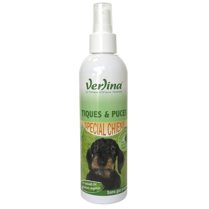 tiques-et-puces-environnement-petits-chiens.jpg