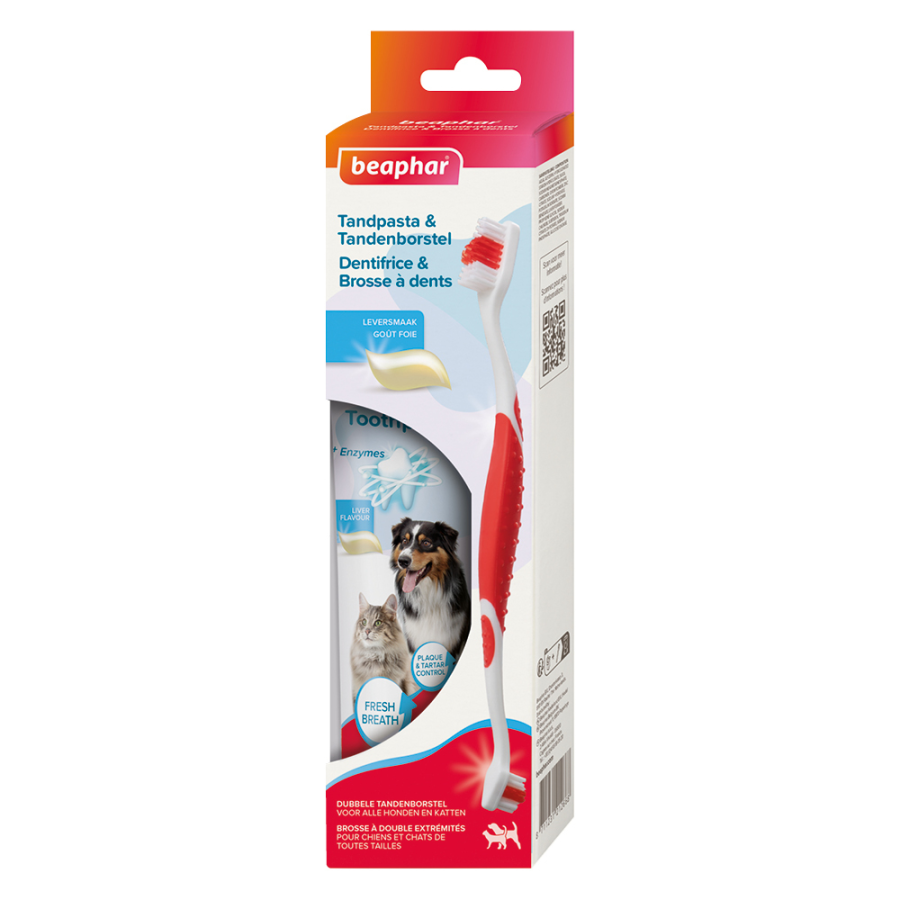 combi-pack-dentifrice-brosse-a-dents.jpg