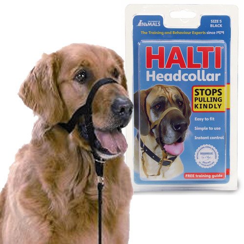 1-HALTI-Headcollar-Large5.jpg