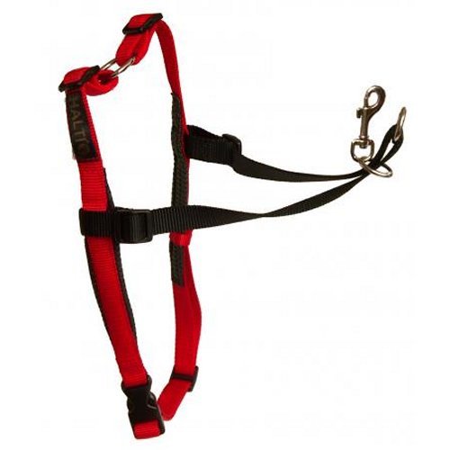 HALTI-HARNESS-BLACKRED-Medium-0.jpg