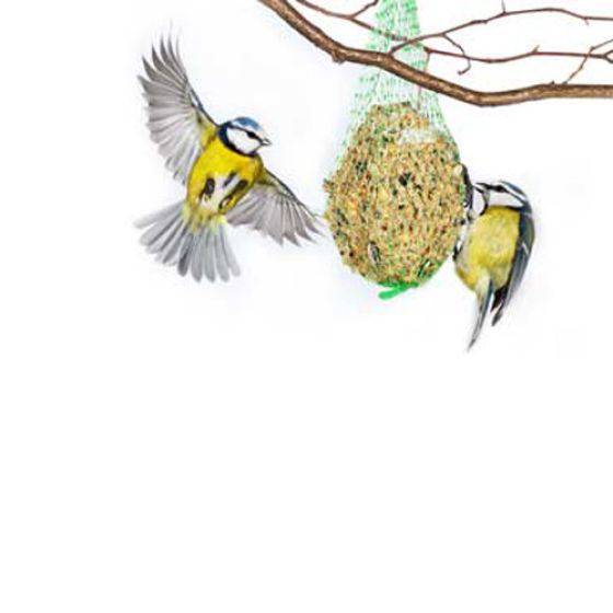 Image44.jpg
