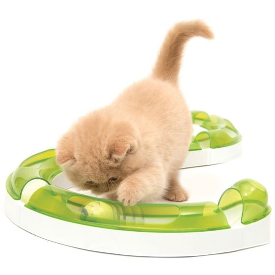 catit-play-circuit-kitten.jpg