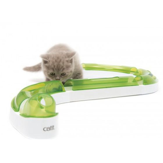 catit-play-circuit-kitten.jpg