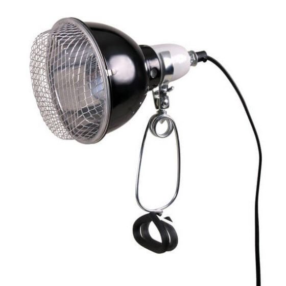 la_lampe-reflecteur-a-pince-avec-grillage-18861.jpg