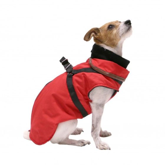 manteau-trotte-avec-harnais-integre.jpg