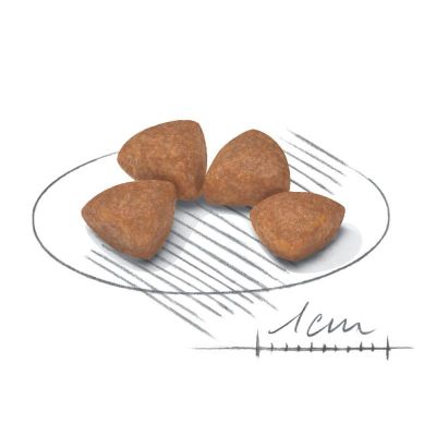 royal_canin_shn_xsmall_puppy_packshot_3.jpg