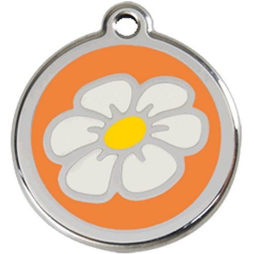 FLOR.jpg