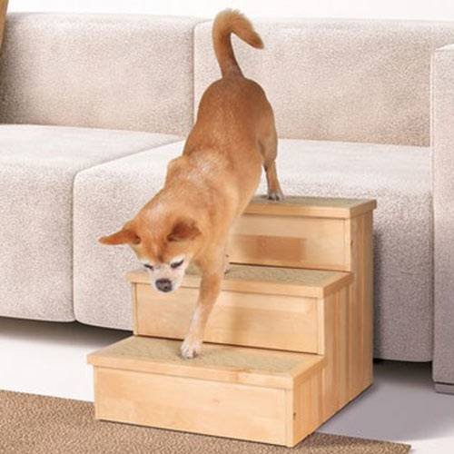 chiens-trixie-escalier-petstair-77907890874-155x_.jpeg