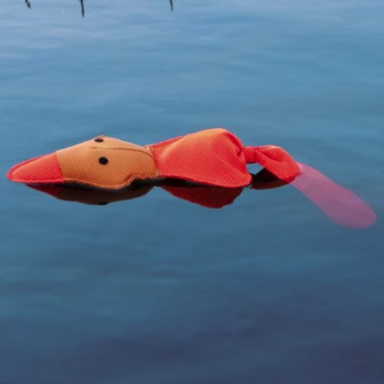 362071.jpg