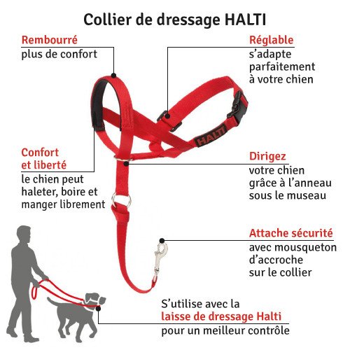 pvi-halti-headcollar-0111.jpg