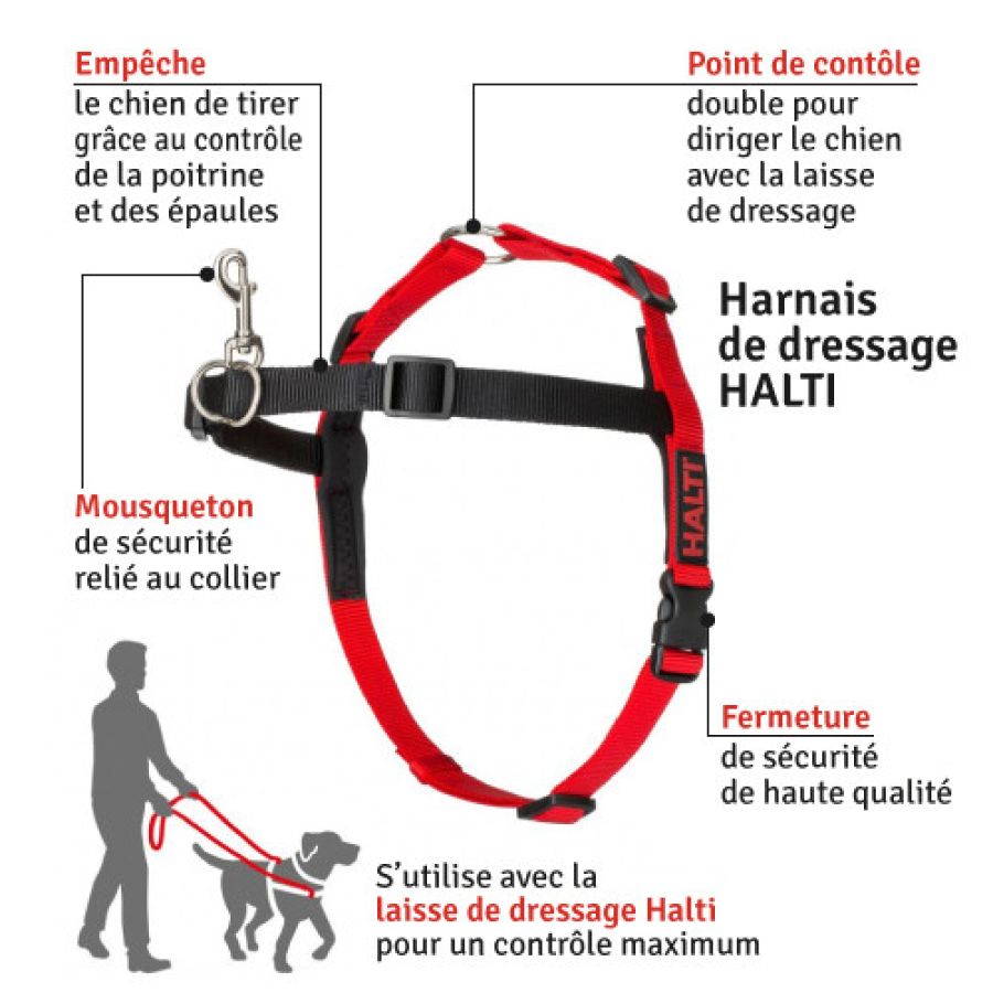 HALTI-HARNESS-BLACKRED-Medium-0.jpg