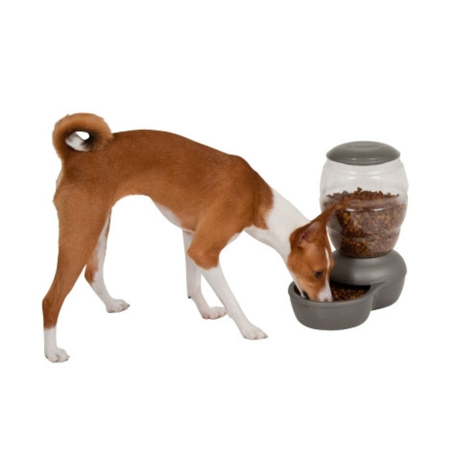 téléchargement (3).jpg