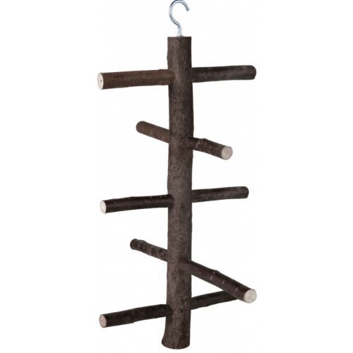 Image13.jpg