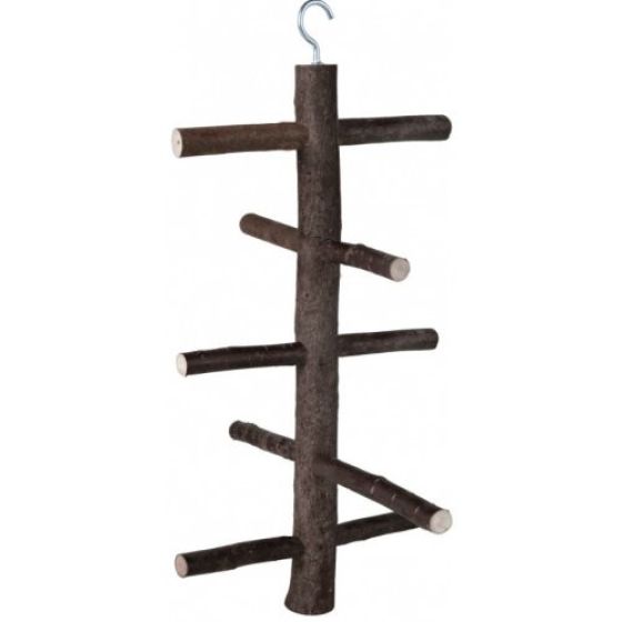 Image13.jpg