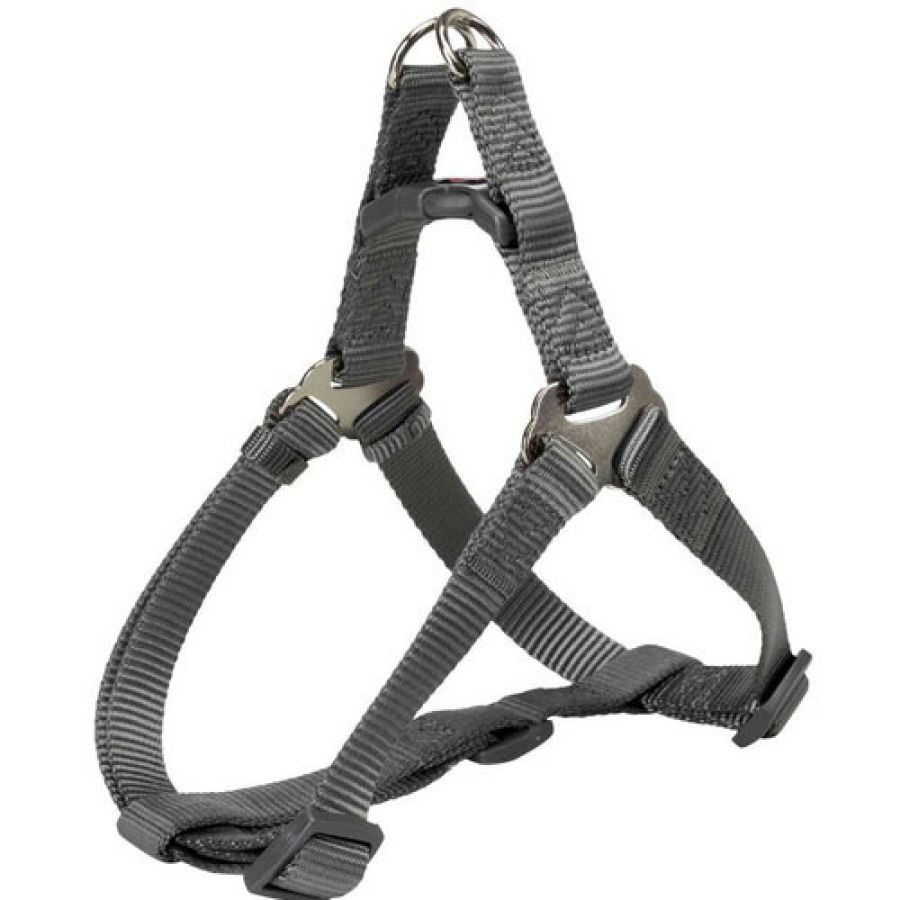 harnais bleu gris.jpg