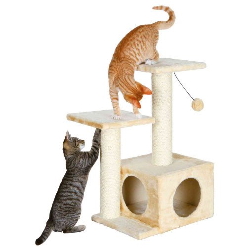 arbre a chat valencia2.jpg