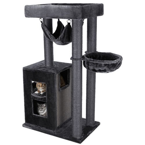 Arbre à chat solide : XXL, pour chat adulte, hamac, 163 cm  Amadeus