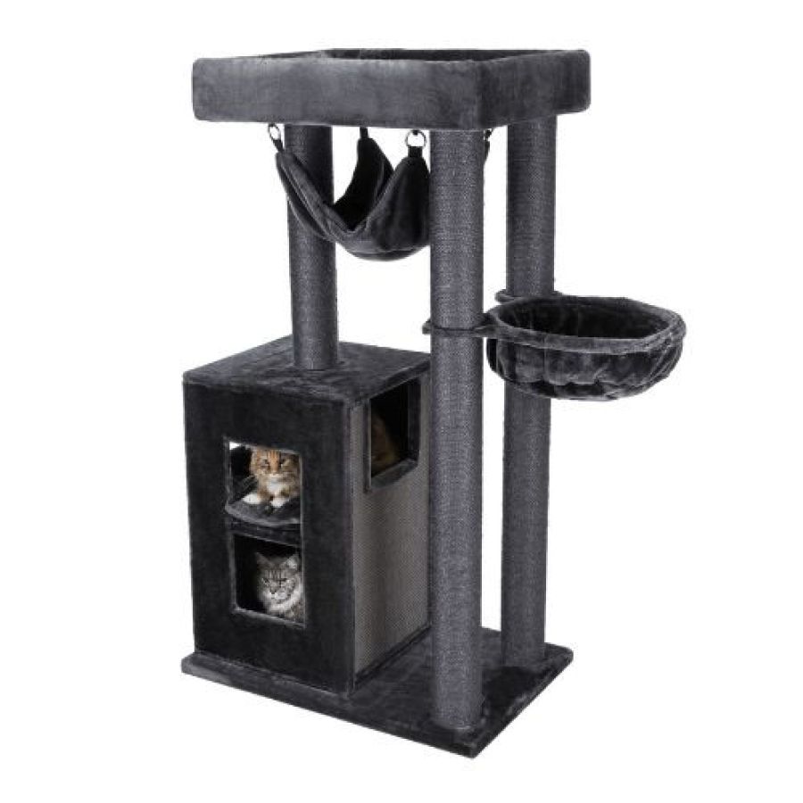 Arbre à chat solide : XXL, pour chat adulte, hamac, 163 cm  Amadeus