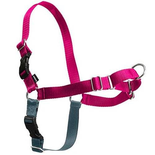 harnais-rose.jpg