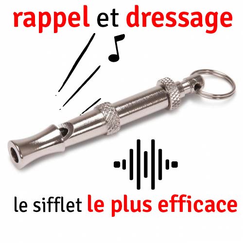 Sifflet-1.jpg
