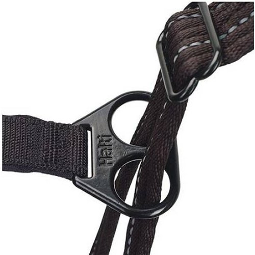 Image13.jpg